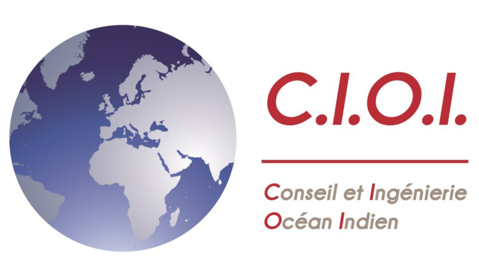 logo-cioi-2010