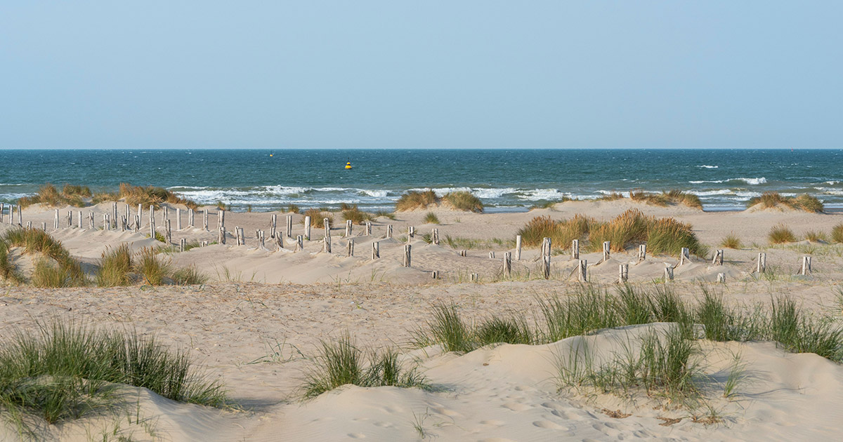 Création de site web à Dunkerque — Proforce Communication